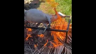 Barbecue  Goat sets on fire for cutting and cooking [upl. by Mide878]