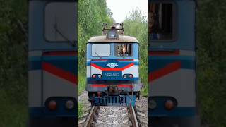 Train ane bali hai jaldi ana youtubeshorts shorts youtube train [upl. by Opalina433]