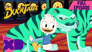 The House of the Lucky Gander  S1 E6  Full Episode  DuckTales  disneyxd [upl. by Rizas]