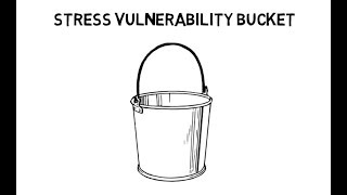 Stress Vulnerability Bucket [upl. by Judus540]