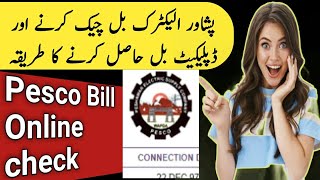 How to check Peshawar electricity bill  Peshawar electricity duplicate bill online [upl. by Kcinnay36]