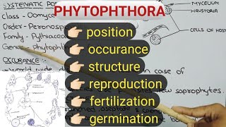 Life cycle of Phytophthora  Fungi  with notes conceptualizestudy [upl. by Ahsakal]