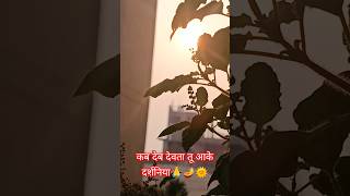 sitali biyariya lyrics Pawan Singh cchat Puja geetytshorts sunset sunrise trending chattpuja [upl. by Nevyar]