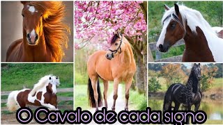 O CAVALO DE CADA SIGNO  MUNDO DOS SIGNOS [upl. by Leonore]