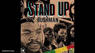 Bushman  Stand Up Irie Sounds InternationalJah Wayne Records Release 2021 [upl. by Joacimah]