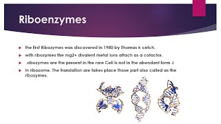 Riboenzyme  types of riboenzymes in Hindi [upl. by Gorey]