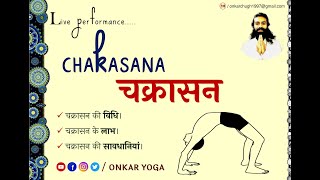 026 CHAKRASANA l Method l Benefits l Precautions l चक्रासन l विधि l लाभ l सावधानियां [upl. by Melloney971]