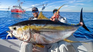 Giant Yellowfin Tuna Under Shrimp Boats Catch Clean amp Cook NLBN Lure Tuna Fishing [upl. by Akihsal]