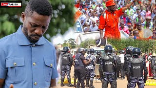 LIVE KIKA BOBI WINE BA KOMANDO BAMUSAZEKO NGAGENDA E PALISA [upl. by Loram352]