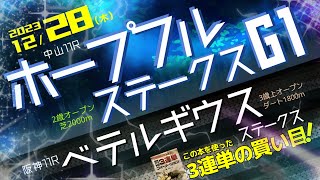 阪神的中🎯中山11R【ホープフルステークスG1】阪神11R【ベテルギウスステークスOP】の3連単の買い目 [upl. by Myer]