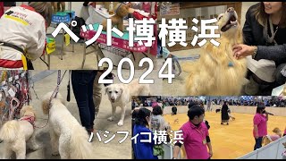 ペット博2024・パシフィコ横浜・展示会営業術 [upl. by Nennek835]