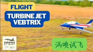 FLIGHT Turbine Jet VENTRIX 涡喷飞机试飞 [upl. by Biron]