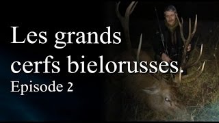 Les grands cerfs biélorusses Episode 2 [upl. by Pan418]