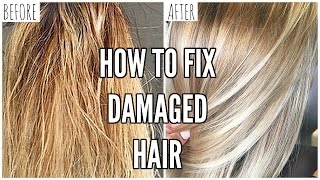 How To Fix EXTREMELY Damaged Hair At Home [upl. by Boni]