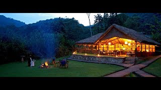 Sanctuary Gorilla Forest Camp  Bwindi Impenetrable Forest  Uganda [upl. by Notlok]