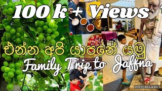 අපි යාපනේ යමුද Our Family Trip to Jaffna Grape Farm15 Attractions Hotels  Food Review Beaches [upl. by Aer]