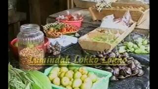 odang lumindak laut lumindakan lokko lokko mp4 [upl. by Drogin]