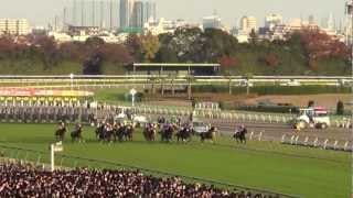 2012 JAPAN CUP Gentildonna ジャパンカップ ジェンティルドンナ [upl. by Guillema]