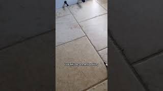 How To Seal Grout diy grout cleaning [upl. by Amadas]