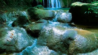 mountain view forest river sound waterfall relaxing sound therapy sounds river sounds relaxing [upl. by Llorre23]