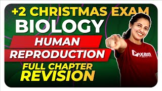 Plus Two Christmas Exam Biology  Human Reproduction  Full Chapter  Exam Winner [upl. by Lidia]