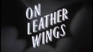 On Leather Wings Commentary [upl. by Odnolor]