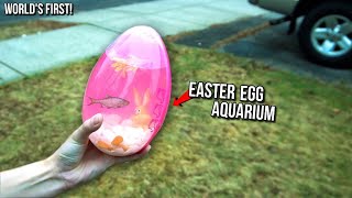 WORLDS FIRST Easter EGG AQUARIUM DIY [upl. by Garratt]