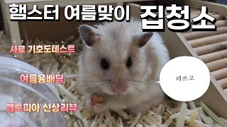 Vlog골든햄스터 집청소 ㅣ 햄토피아 리뷰 🐹 [upl. by Amar]