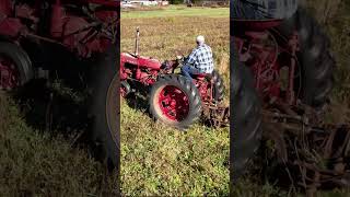 Using a sickle bar mower on a Farmall 230 [upl. by Sidwel294]