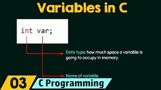 Introduction to Variables [upl. by Nnyltiac]