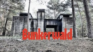 RioDeLaNorte  Verloren im Bunkerwald [upl. by Alejandro]