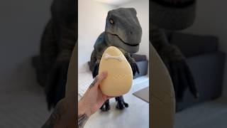 Mystery Dino Egg 🦖 [upl. by Akiner]