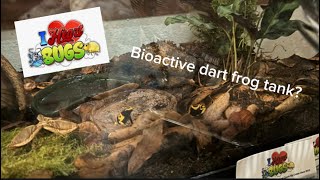 Setting up BIOACTIVE Dart Frog Tanks [upl. by Tabber]