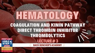 Coagulation and kinin pathway Direct thrombin inhibitor Thrombolytics  Hematology  3  First Aid [upl. by Childers]