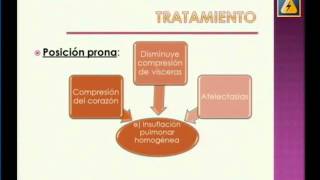 TAQUIPNEA TRANSITORIA DEL RECIEN NACIDO [upl. by Arbed]