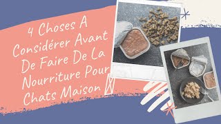 4 Choses A Considérer Avant De Faire De La Nourriture Pour Chats Maison 🐈 [upl. by Einahpad]