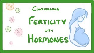 GCSE Biology  What is IVF How Does IVF Work and What Are The Risks IVF Explained 62 [upl. by Wootten]