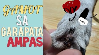 GAMOT PANTANGAL NG GARAPATA AT AMPAS VetLai [upl. by Hnao]