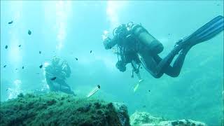 Return to Palau Sardinia June 2019 with Nautilus Diving [upl. by Norrehs]