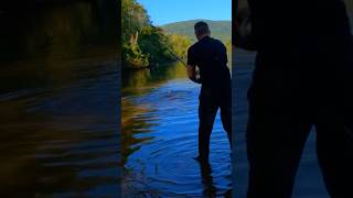 Big Catfish on THE BANK fishing fish fishinglife fishonmyfriends quickcatchandrelease fun [upl. by Aya146]