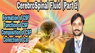 Cerebrospinal fluid  Part1 FormationFunctionComposition amp Collection [upl. by Yderf28]