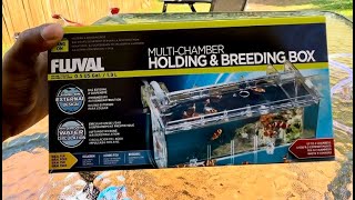 Fluval Breeder box setup [upl. by Slemmer]