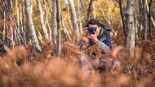 Autumn woodland PHOTOGRAPHY at RSPB Minsmere [upl. by Uon663]