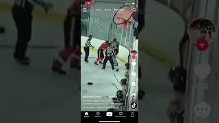 Hockey Fight LNAH 19 nov 2022 Christophe Losier KO vs Ryan Sullivan [upl. by Halet]