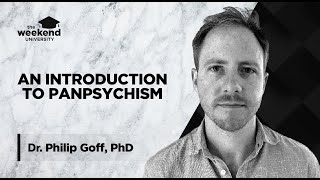 Panpsychism Is Everything Conscious  Dr Philip Goff PhD [upl. by Goodyear]