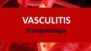 Vasculitis  Fisiopatología [upl. by Russo]