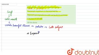 Phytophthora infestans is characterized by  12  KINGDOM FUNGIMULTICELLULAR DECOMPOSERS  BIO [upl. by Gipps]