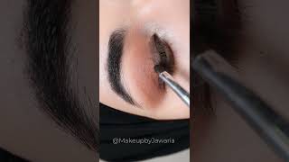 Easy Smokey Eye Makeup Tutorial for Beginners in Urdu Hindi makeuptutorial shorts [upl. by Janerich]