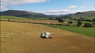 Spring Barley Harvest Has Began [upl. by Rand737]