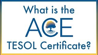 The ACE TESOL Certificate [upl. by Rubbico]